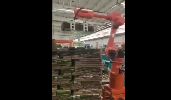 紙箱紙皮碼垛搬運機器人應(yīng)用案例視頻